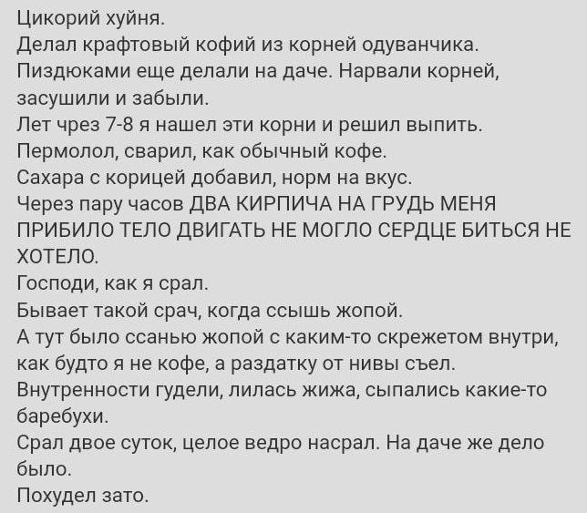 цикорий хуйня Делал крафгавый кофий из корней одуванчика Пиздюками еще делали на даче нарвали корней засушипи и забыли Лет чрез т я нашел ати корни и решил выпить Пермопоп сварил как обычный кофе Сахара корицей добавил норм на вкус Через пару часов дБА кирпичи НА грудь МЕНЯ привила ТЕЛО двигль НЕ могло СЕРДЦЕ Биться НЕ хоТЕло господи как и орал Бывает такой срач иогда ссышь жопой А тут было осенью