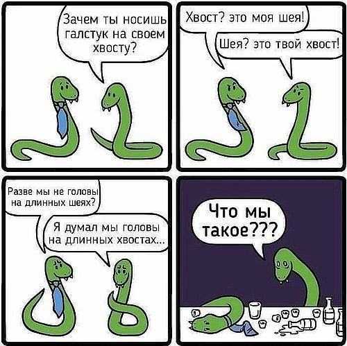 Зачем ТЫ носишь Хваст это моя шея галстук на своем хвосту я думал мы головы на длинных хвостах