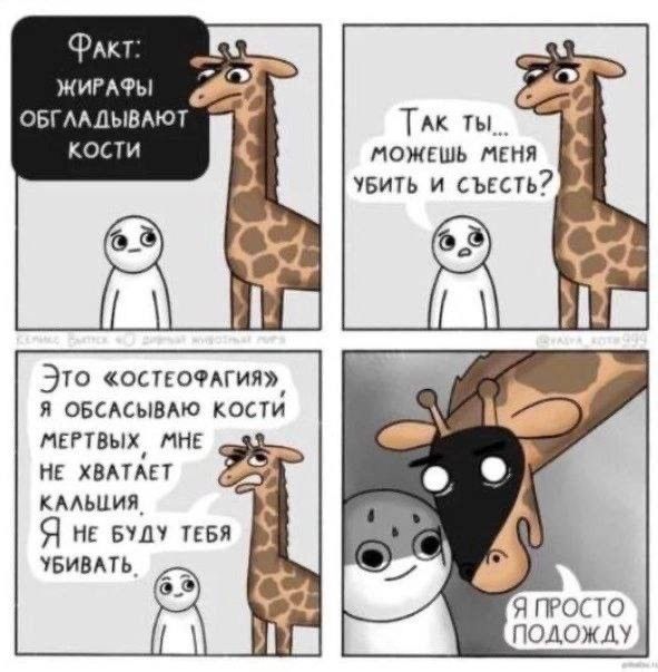 и мини гы шим к 74 ТАк пожгшь ЛЕН увить и цвет Эю оспочлгил овысывдю кости ПЕГУВЫХ МНЕ н хамп КАЛЬЦИЙ Я ни вы пвп чвивпь предо подожди