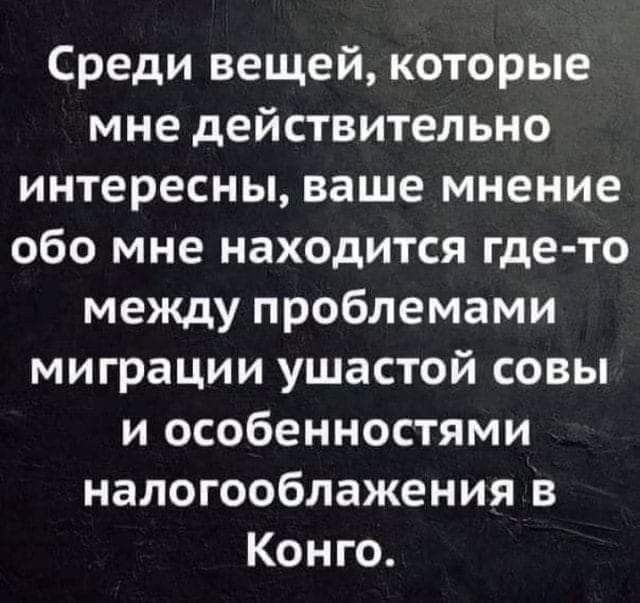 Среди вещей которые мне действительно интересны ваше мнение обо мне находится где то между проблемами миграции ушастой совы и особенностями налогооблажения в Конго