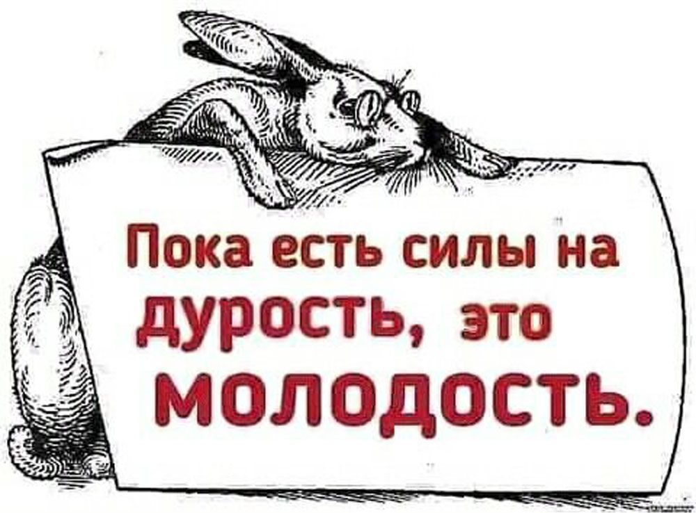 Пока есть силы а дурость это к МОЛОДОСТЬ