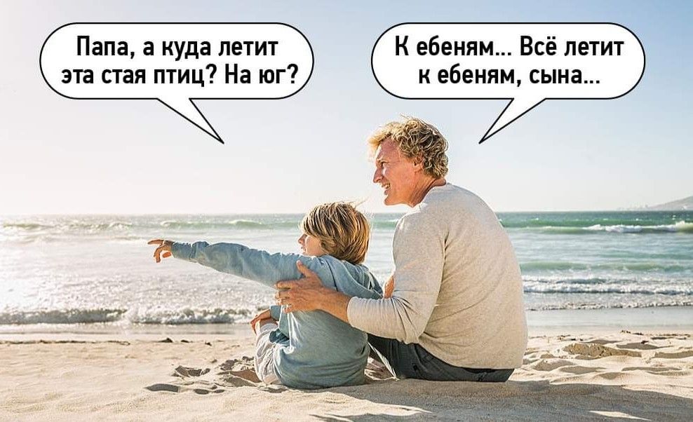 Папа а куда к вбили Всё дым эт птиц и юг ааа сын