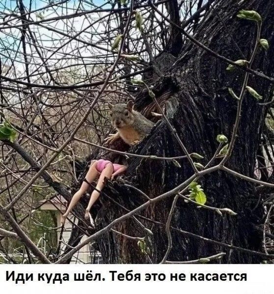 Иди куда шёл Тебя это не касается