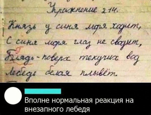 _ 32юша45 щ Жил ц душ пущи 7С им 71 на ис 7ит Хита 1 А 111 С 3441 1411 Ацы ВПОПНЭ нормальная реакция на внезапного лебедя