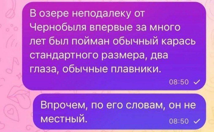 Вёзёбёнёйбдапёку от Чернобвшя впервые за много лет был пойман обычный карась стандартного размера два глаза обычные плавники ьы Впрочем по ет словам он не местный