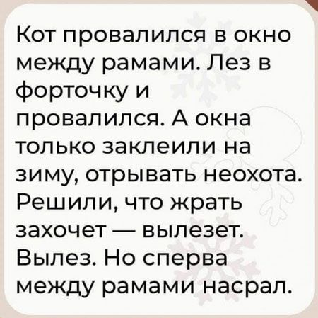 Кот провалился в окно между рамами Лез в форточку и провалился А окна только заклеипи на зиму отрывать неохота Решили что жрать захочет вылезет Вылез Но сперва между рамами насрал