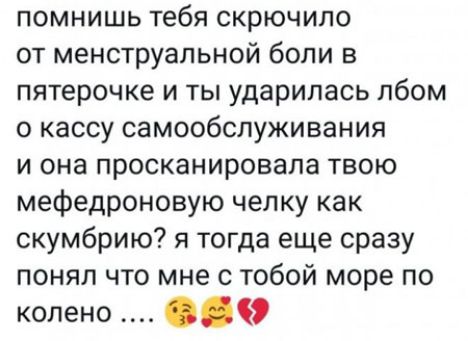 помнишь тебя скрючипо от менструальной боли в пятерочке и ты ударилась лбом о кассу самообслуживания и она просканировала твою мефедроновую челку как скумбрию я тогда еще сразу понял что мне с тобой море по колено