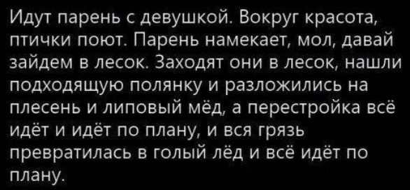 Идут парень с девушкой Вокруг красота птички поют Парень намекает мол давай зайдем в лесок Заходят они в лесок нашли подходящую полянку и разложились на плесень и липовый мёд а перестройка всё идёт и Идёт по плану и вся грязь превратилась в голый лёд и всё идёт по плану