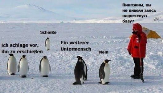 ишшо ш щипцы Т С И из шину