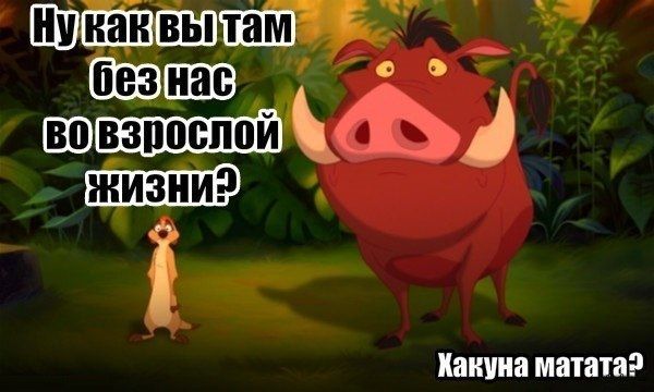 37 шивозпспой 1 НМШ матан