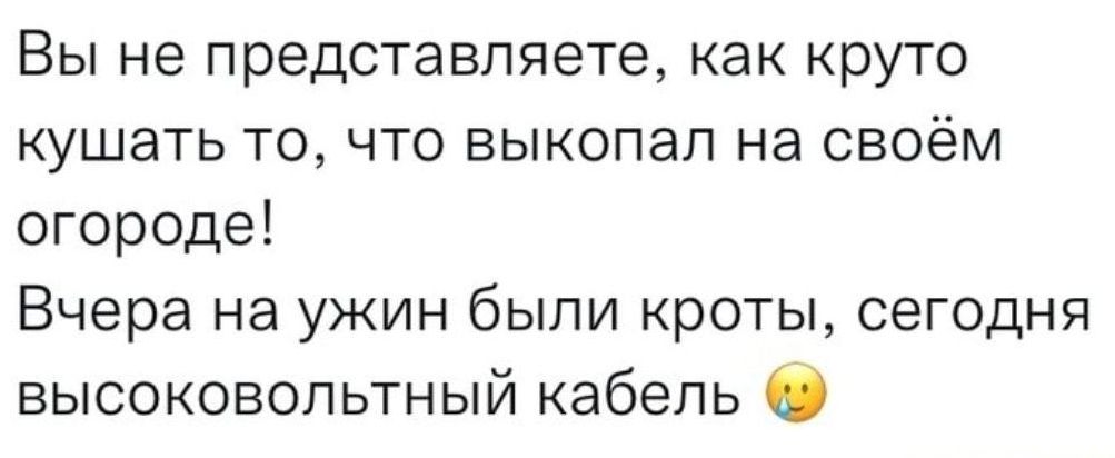 Вы не представляете как круто кушать то что выкопал на своём огороде Вчера на ужин были кроты сегодня высоковольтный кабель 0