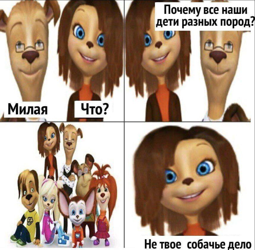 Почему все наши дет разных пород Не твое собачье дело