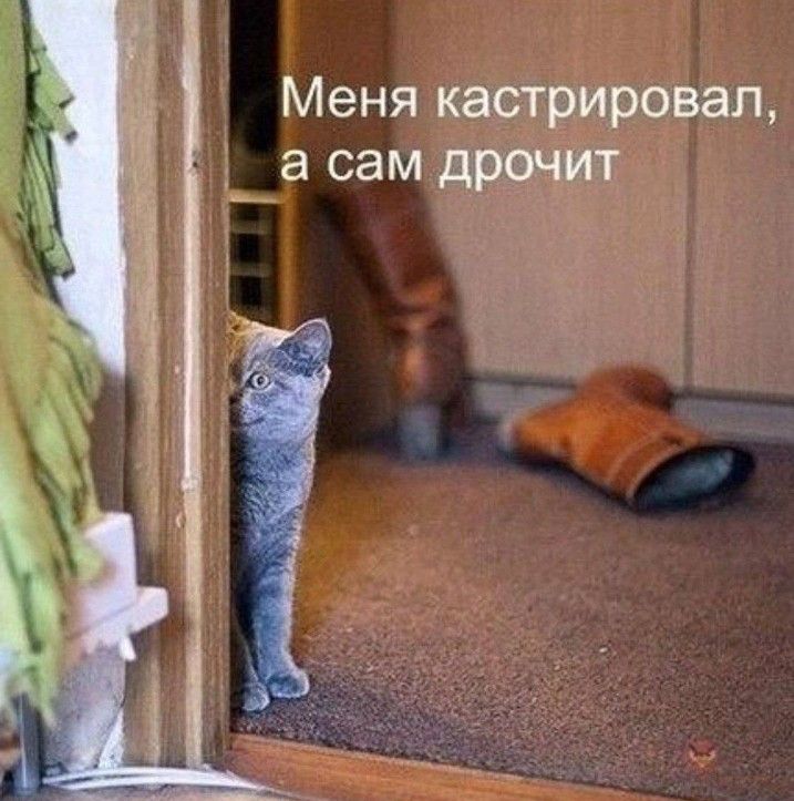 Меня катрировап _а сам др
