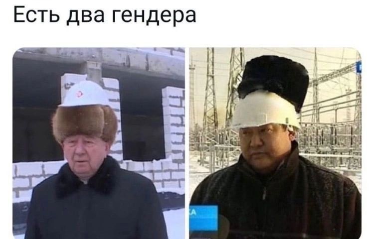 Есть два гендера