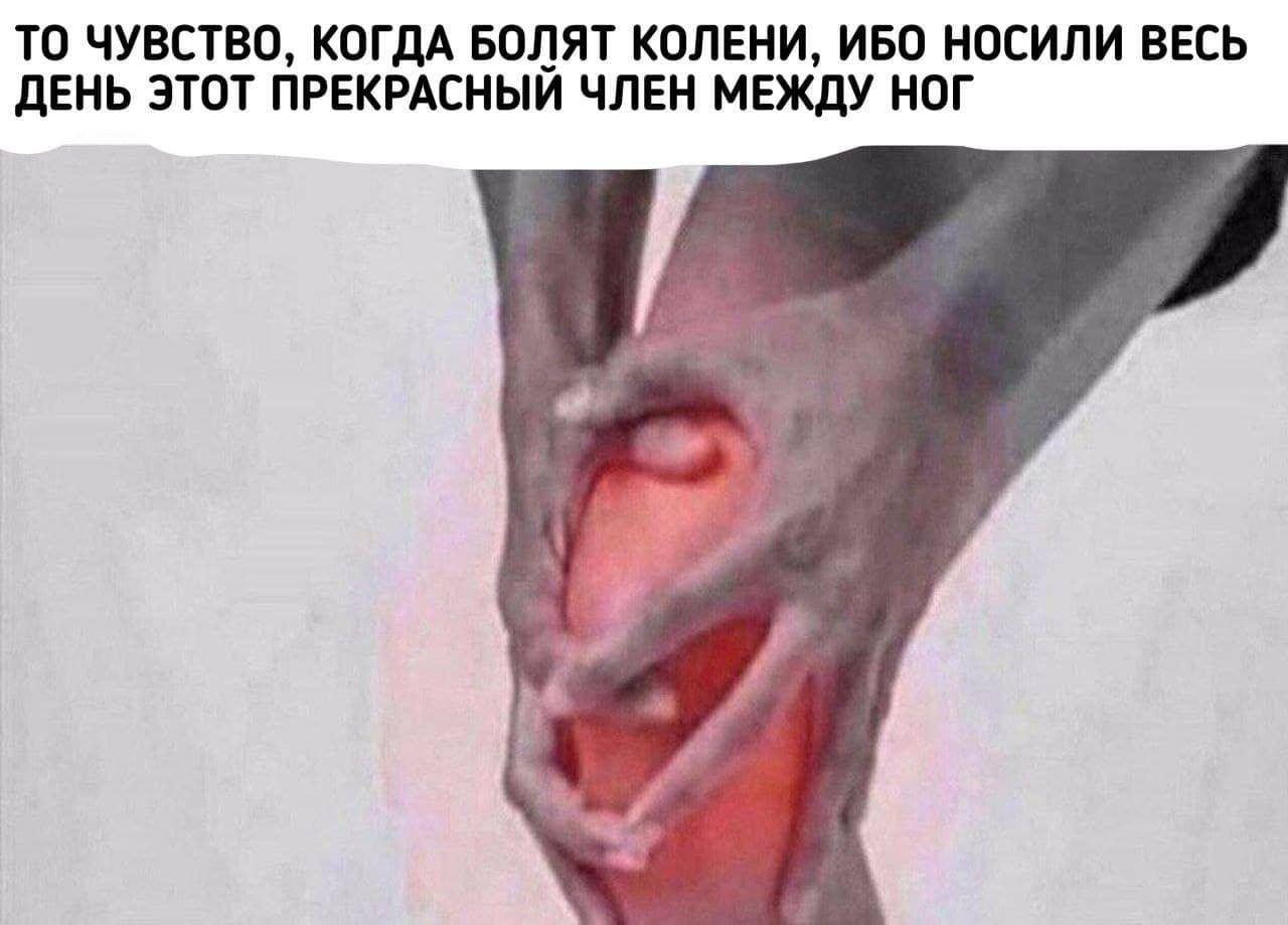 ТО ЧУВСТВО КОГДА 50115 КОЛЕНИ ИБО НОСИЛИ ВЕСЬ ЛЕНЬ ЭТОТ ПРЕКРАСНЫИ ЧЛЕН МЕЖДУ НОГ