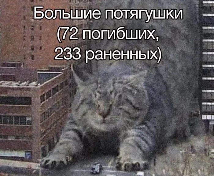 _А _2_ЗЗ радіённёи2_