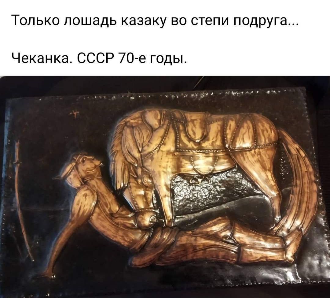Только лошадь казаку во степи подруга Чеканка СССР 707е годы