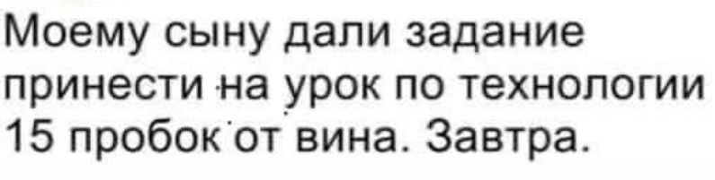 Моему сыну дапи задание принести на урок по технологии 15 пробокот вина Завтра