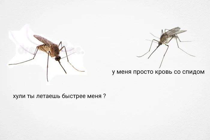 у меня просто кровь по спидим хули летаешь вытри меня 7