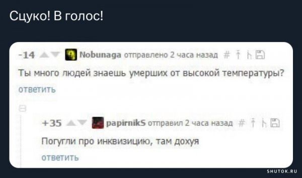 Сцуко В гопосі