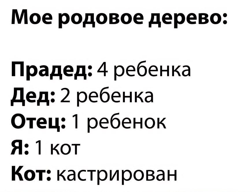 Мое родовое дерево Прадед 4 ребенка дед 2 ребенка Отец1 ребенок Я1 кот Кот кастрирован