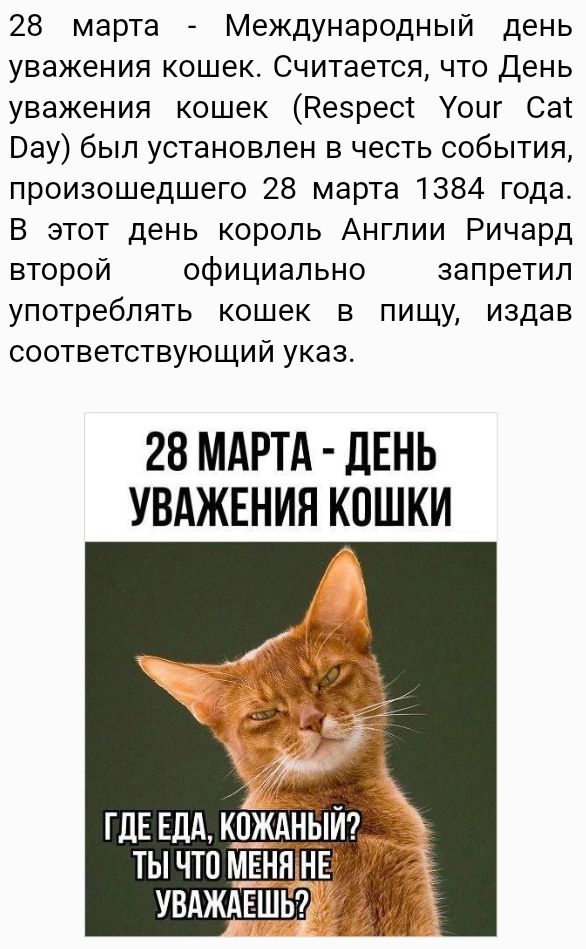 28 марта Международный день уважения кошек Считается что День уважения кошек Кезрест Уоиг Сат Вау был установлен в честь события произошедшего 28 марта 1384 года В этот день король Англии Ричард второй официально запретил употреблять кошек в пищу издав соответствующий указ 28 МАРТА ЛЕНЬ УВАЖЕНИЯ КПШКИ