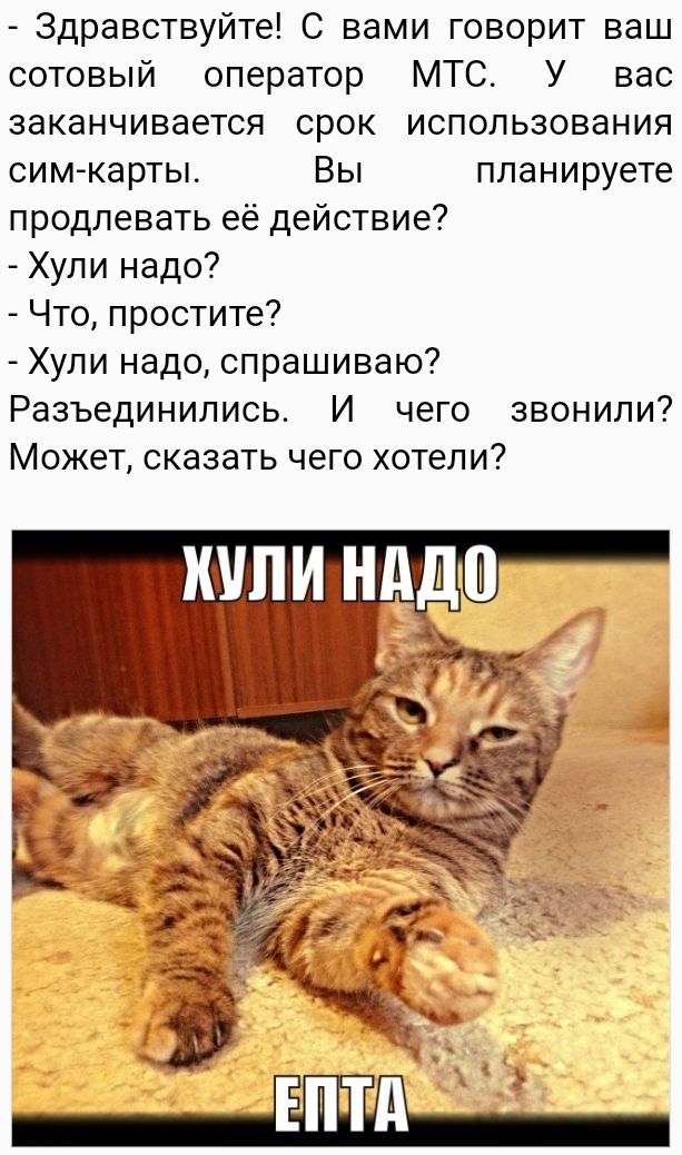 Здравствуйте С вами говорит ваш сотовый оператор МТС У вас заканчивается срок использования симкарты Вы планируете продлевать её действие Хули надо Что простите Хули надо спрашиваю Разъединипись И чего звонили Может сказать чего хотели