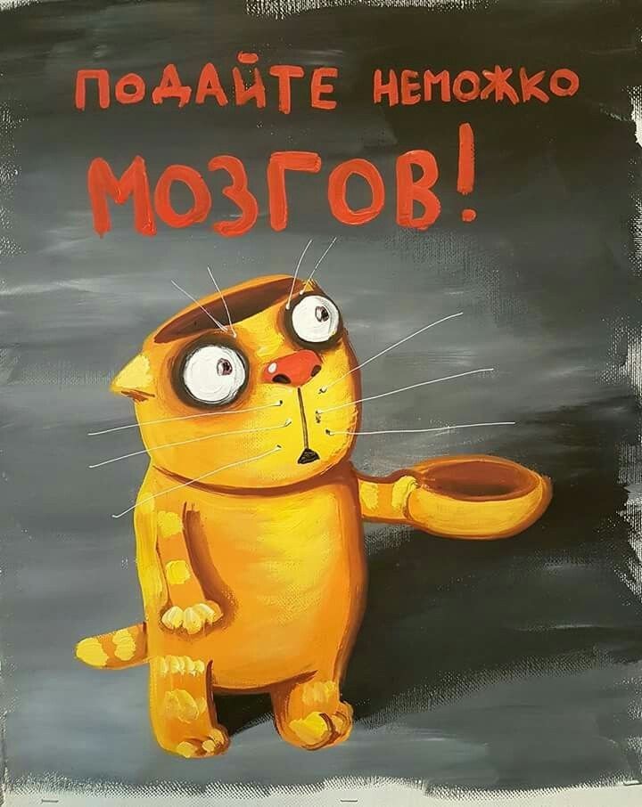 ПФААИТЕ непожко і мозгов