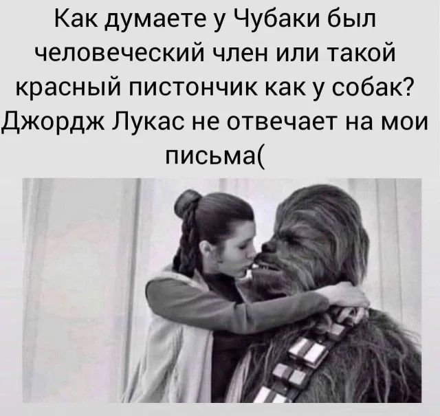 Как думаете у Чубаки был человеческий член или такой красный пистончик как у собак Джордж Лукас не отвечает на мои письма