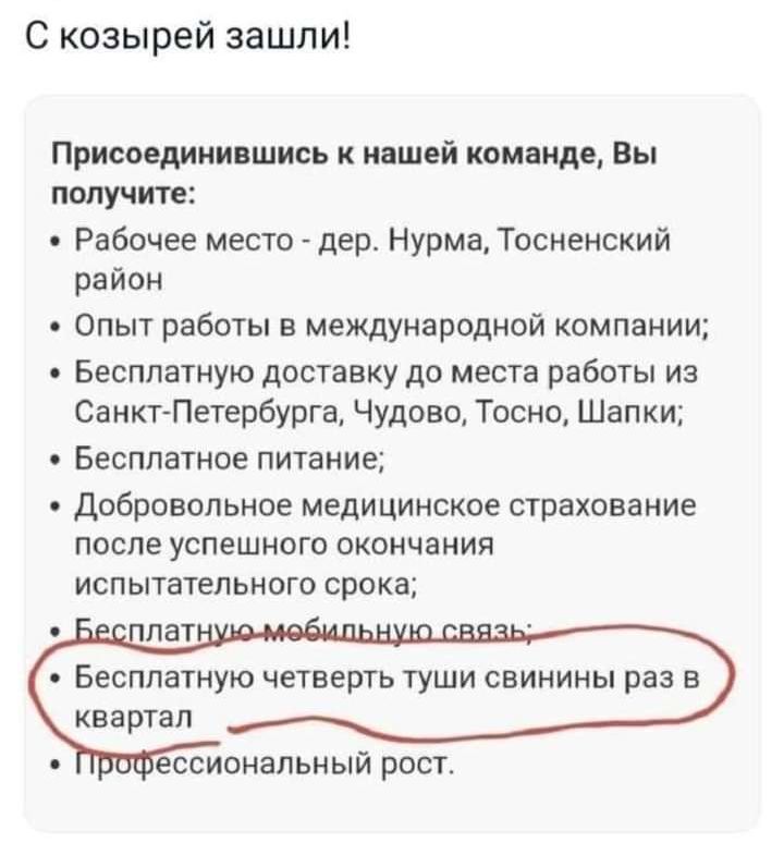 С козырей зашли Присоединившись к нишей коннице Вы пшучите Рабочее место дер Нурма Тосненский ра йон Опыт работы в междуца родной компании БЕСППЭТНУЮ доставку до МЕСТЕ рЗБОГЫ ИЗ СанктПетербурга Чудово Тосно Шапки БЕСППБТНОЕ питание Добровольное медицинское страхование после успешного окончания испытательного срока Бесплатную четверть туши свинины раз в квартал ессиональный рост