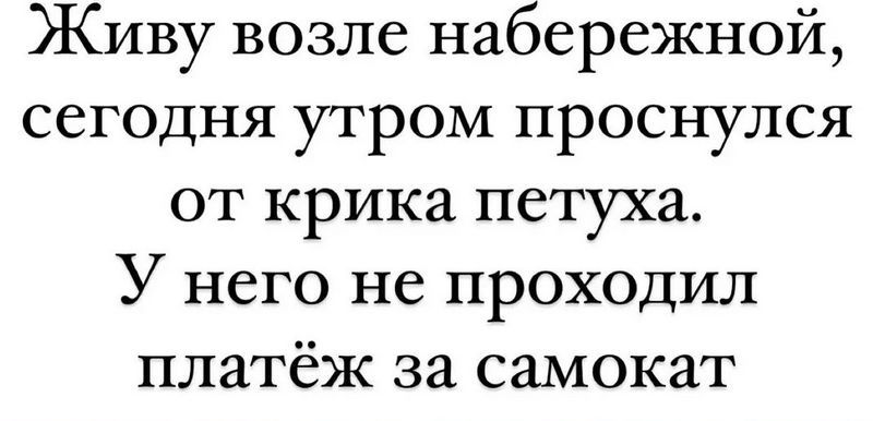 Живу возле набережной сегодня утром проснулся от крика петуха У него не проходил платёж за самокат