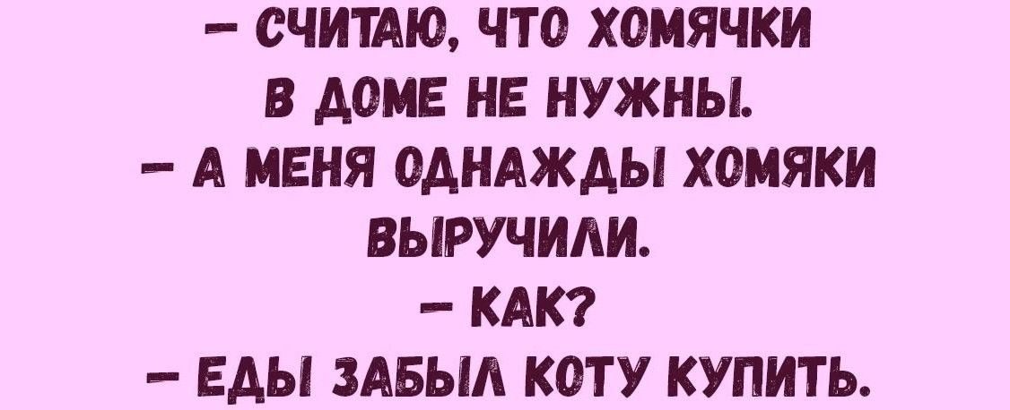 СЧШЮ ЧТО хомячки В АОМЕ НЕ НУЖНЫ _ А МЕНЯ 0АНАЖАЫ ХОИЯКИ ВЫРУЧИАИ КАК ЕАЫ ЗАБЫЛ КОТУ КУПИТЬ