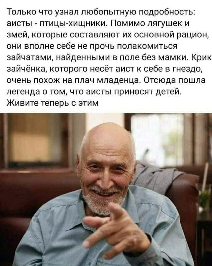 Только что узнал любопытную подробность аисты _ птицьгхищники Помимо лягушек и змей которые составляют их основной рацион они вполне себе не прочь полакомиться зайчатами найденными в попе без мамки Крик зайчёнка которого несёт аист к себе 5 гнездо очень похож на плач младенца Отсюда пошла легенда о том что аисты приносят детей Живите теперь с этим