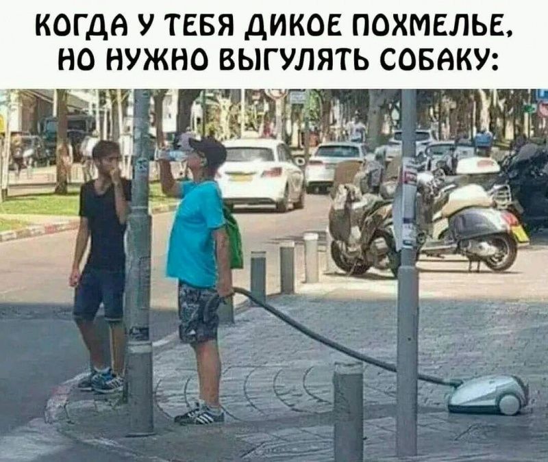 КОГДА У ТЕБЯ ДИКОЕ ПОХМЕЛЬЕ НО НУЖНО ВЫГУЛЯТЬ СОБАКУ