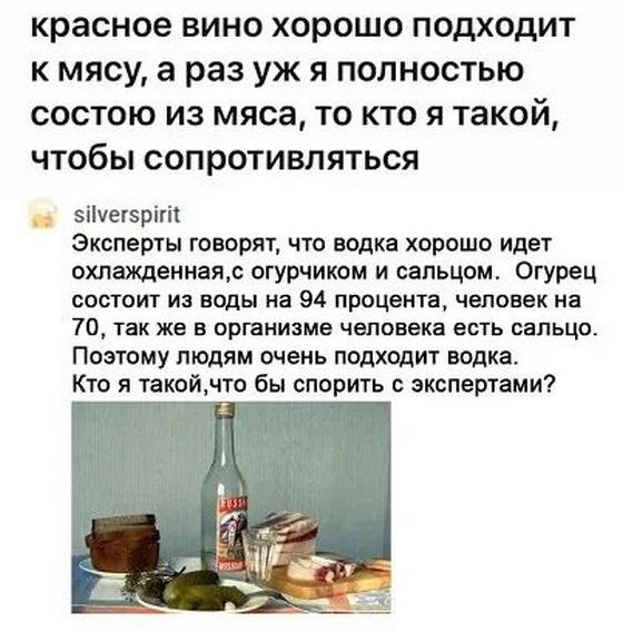 красное вино хорошо подходит кмясу а раз уж я полностью состою из мяса то кто я такой чтобы сопротивляться 5йегсрит Эксперты говорят что водка хорошо идет охлажденнаяс огурчиком и сальцом Огурец состоит из воды на 94 процента человек на 70 так же в организме человека есть сальцо Поэтому людям очень подходит водка Кто я такойчто бы спорить с эксперт