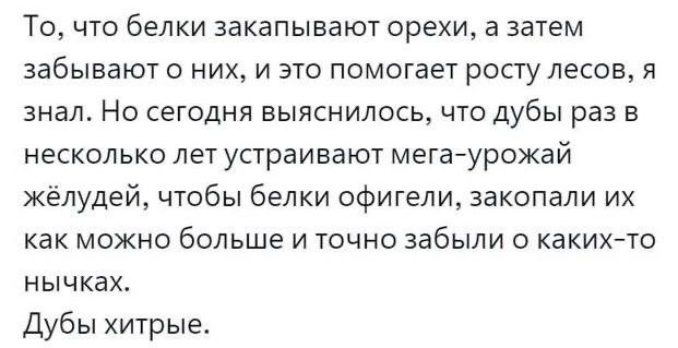 То что белки закапывают орехи а затем забывают о них и это помогает росту лесов я знал Но сегодня выяснилось что дубы раз в несколько лет устраивают мега урожай жёлудей чтобы белки офигели закопали их как можно больше и точно забыли о каких то нычках Дубы хитрые