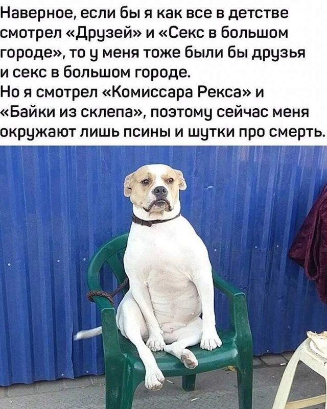 Наверное если бы я как все в детстве мотрел Друзей и Секс в большом городе то у меня тоже были бы друзья и секс в большом городе Но я смотрел Комиссара Рекса и Байки из склепа поэтому сейчас меня окружают лишь псины и шутки про смерть