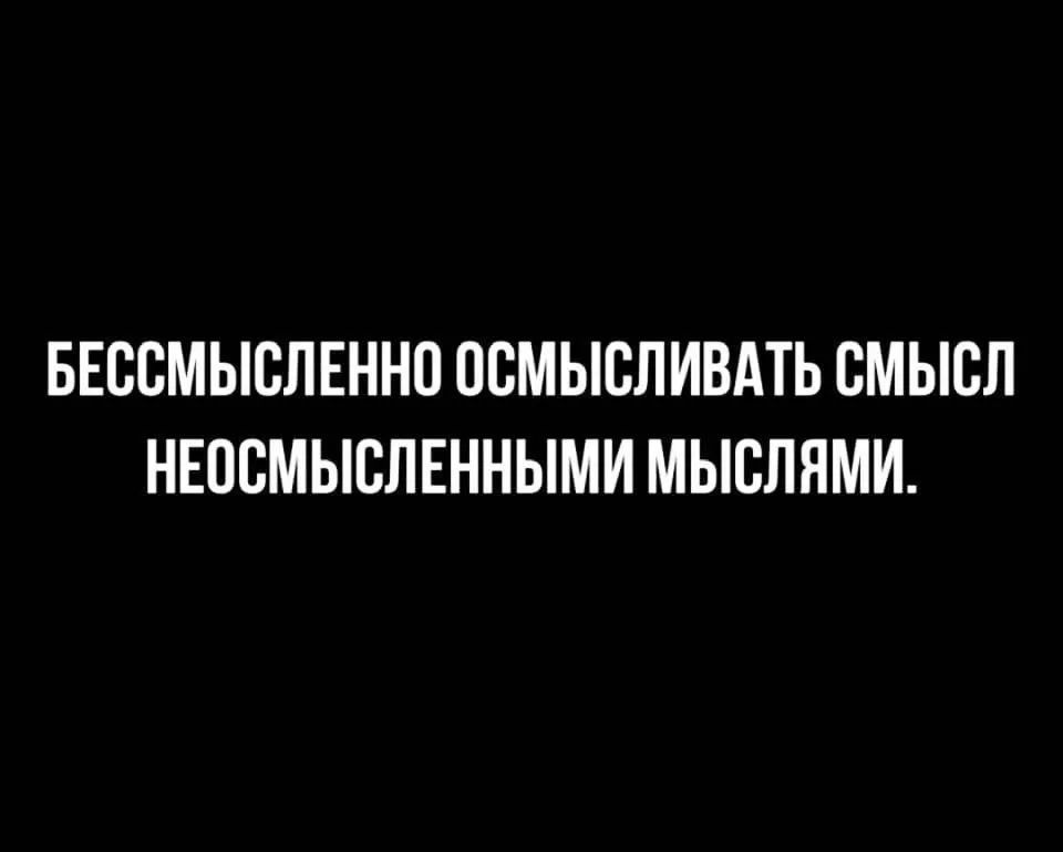 БЕССМЫСЛЕННО ОСМЫСЛИВАТЬ СМЫСЛ НЕОСМЫСЛЕННЫМИ МЫСЛЯМИ