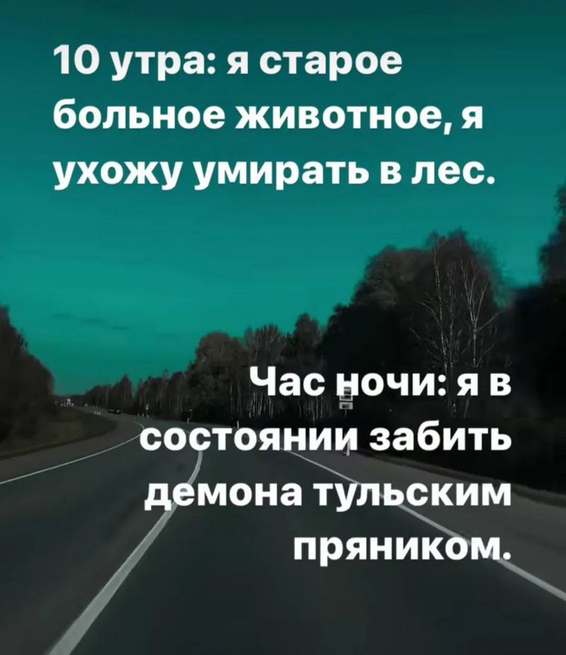 10 утра я старое больное животное я ухожу умирать в лес Час ночи яв состоянии забить мона т СКИМм пруЁом