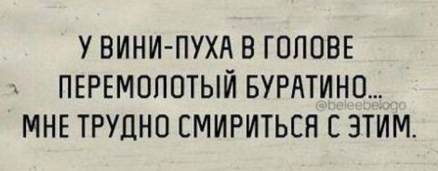 У ВИНИ ПУХА В ГОЛОВЕ ПЕРЕМОЛОТЫЙ БУРАТИНО МНЕ ТРУДНО СМИРИТЬСЯ С ЭТИМ