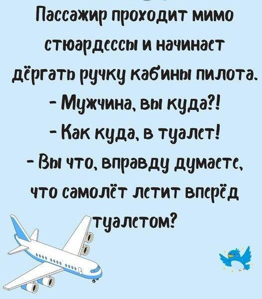 Пассажир проібдит мимо стюардессы и начинает дёргато ручку кабины пилота Мужчина вы куда Как куда в туалсет Вы что вправду думаете что самолёт летит вперёд ттуалстом