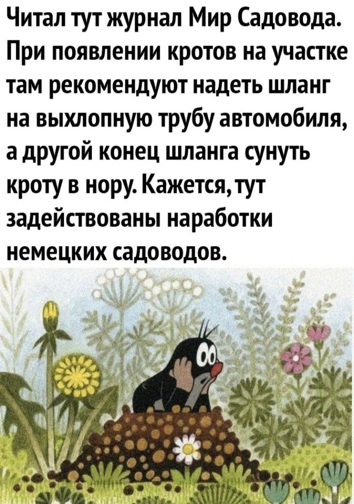 Читал тут журнал Мир Садовода При появлении кротов на участке там рекомендуют надеть шланг на выхлопную трубу автомобиля а другой конец шланга сунуть кроту в нору Кажется тут задействованы наработки немецких садоводов