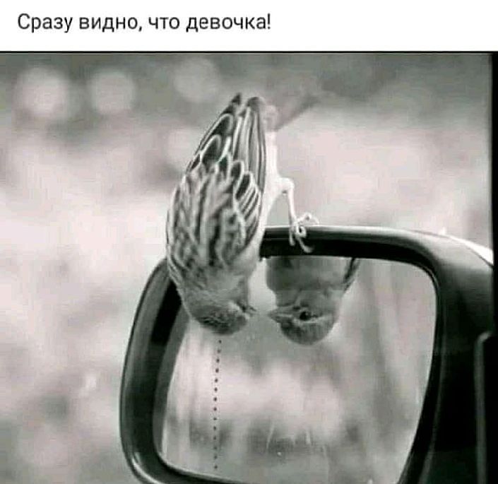 Сразу видно что девочка