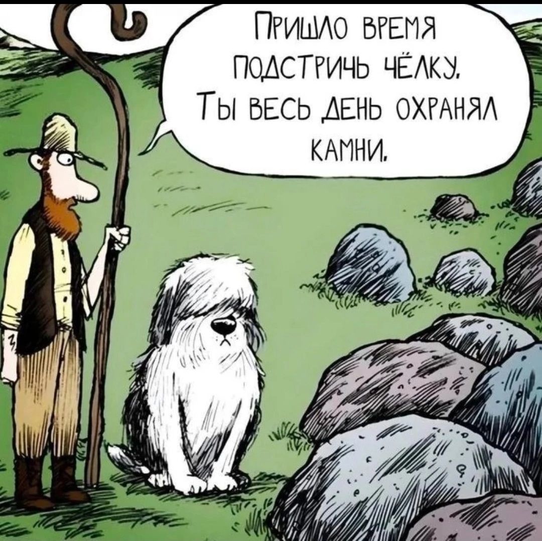 ПРИШЛО ВРЕМЯ ПОДСТРИЧЬ ЧЁЛКЗ ТЫ ВЕСЬ ДЕНЬ ОХРАНЯЛ