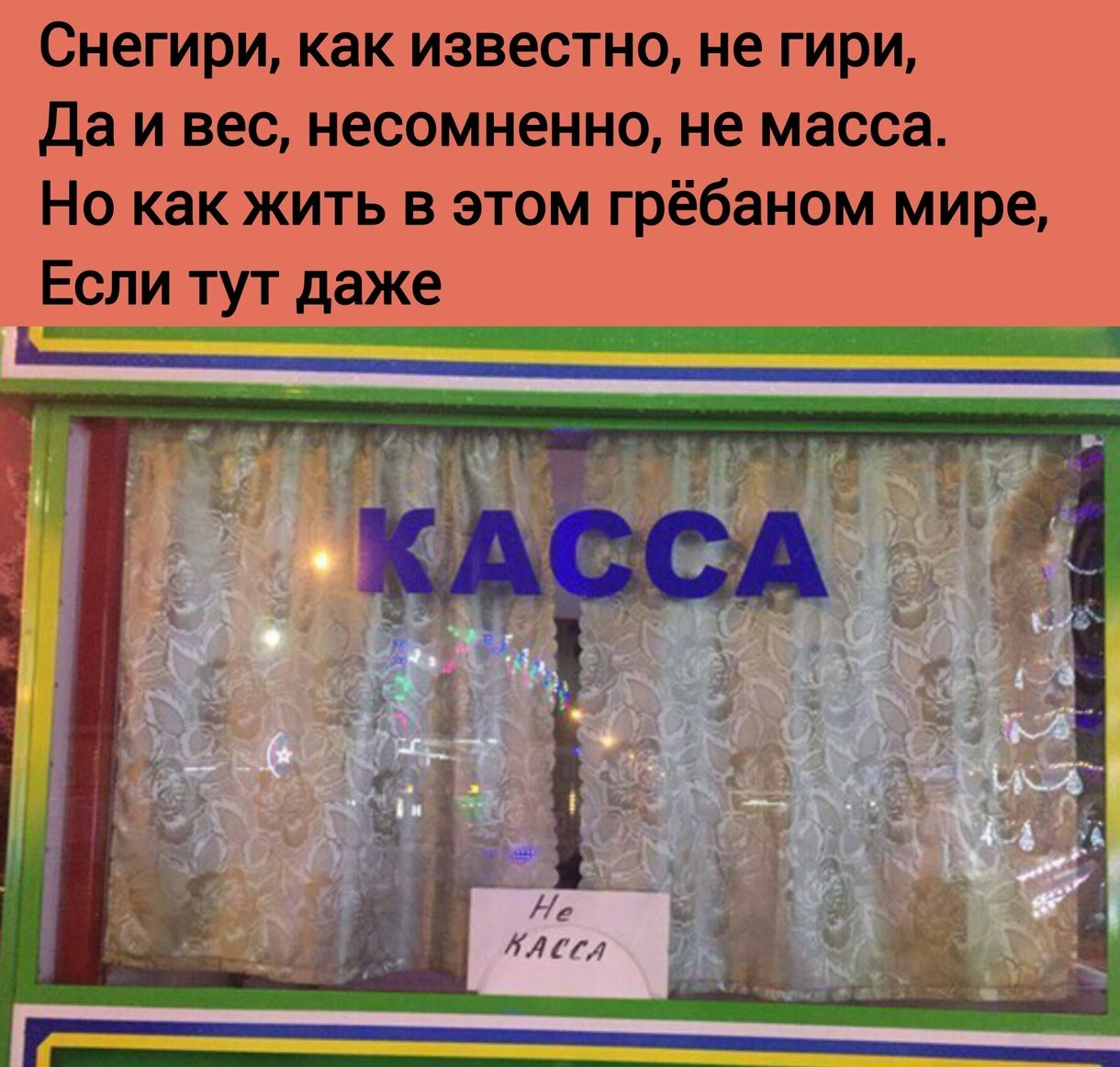 Снегири как известно не гири Да и вес несомненно не масса Но как жить в этом грёбаном мире