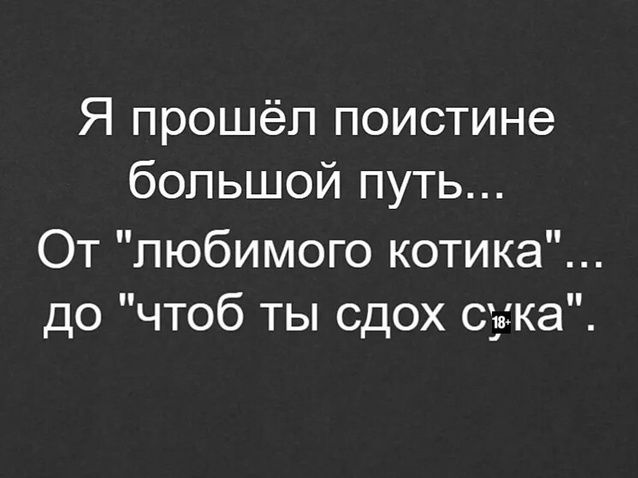 Я прошёл поистине большой путь От любимого котика до чтоб ты сдох сука