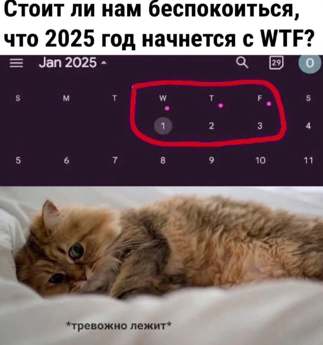 беспокоиться что 2025 год начнется с ТЕ тревожно лежит