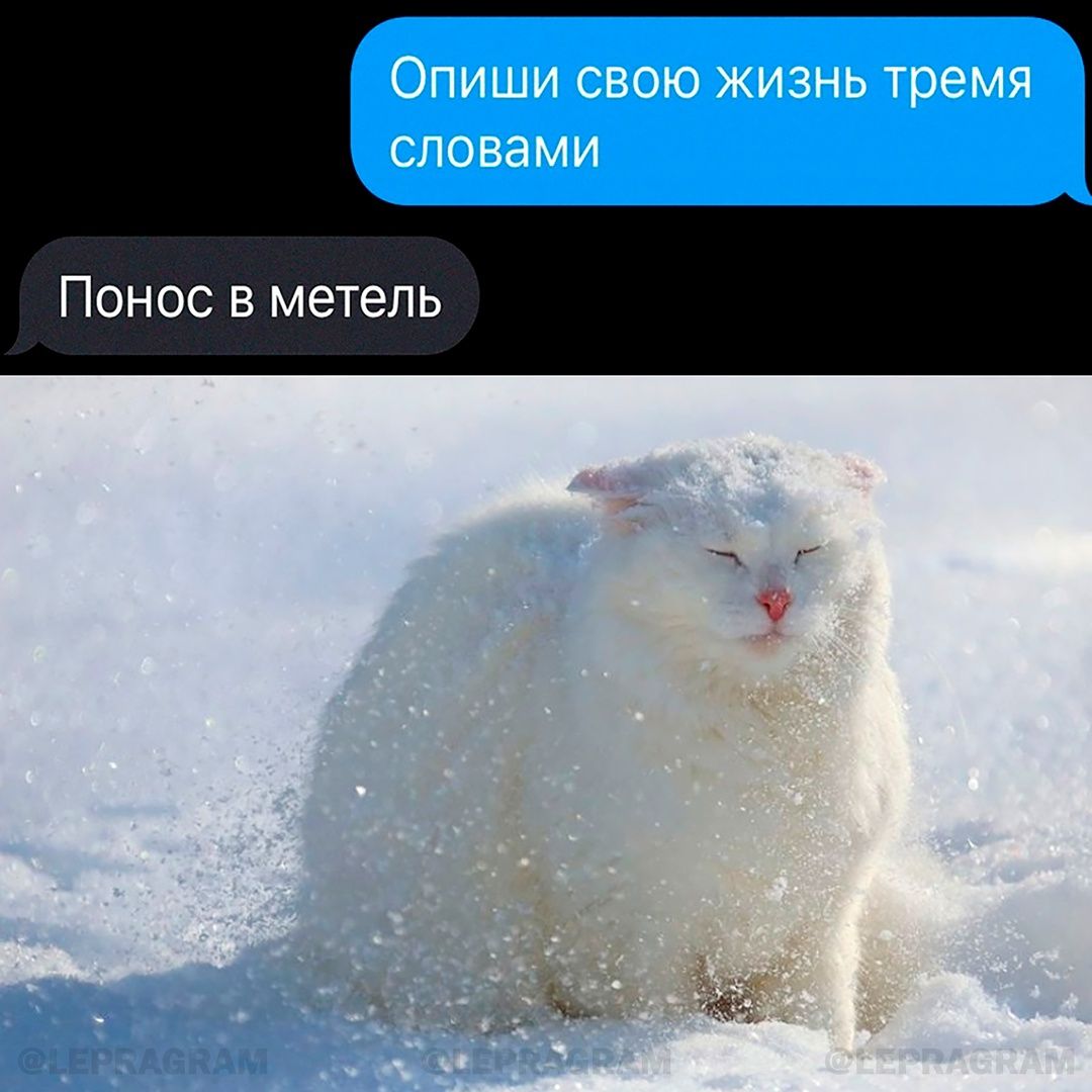 Понос в метель