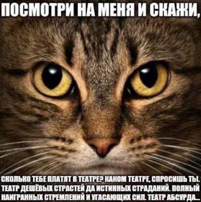 ПоОСМОТРИ НА МЕНЯ И СКАНИ Пн й иа моьайнть _ СКОЛЬКО ТЕБЕ ПЛАТЯТ В ТЕАТРЕЭ КАКОМ ТЕАТРЕ СПРОСИШЬ ТЫ ТЕАТР ДЕШЁВЫХ СТРАСТЕЙ ДА ИСТИННЫХ СТРАДАНИЙ ПОЛНЫЙ НАИГРАННЫХ СТРЕМЛЕНИЙ И УГАСАЮИЩИХ СИЛ ТЕАТР АБСУРДА_