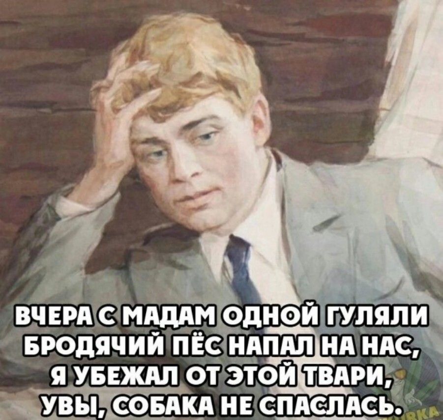БРОДЯЧИЙ ПЁСНАПАЛНА НАЛО с ооа Я УБЕЖАЛ ОТЭТОЙДТВАРИ ПУ ВЫСОБАК НЕСПАСЛАС